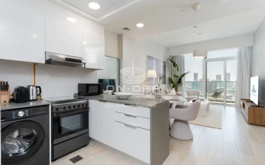 High Floor  Furnished Skyline View